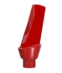 15° Plastic abutment (non rotational)