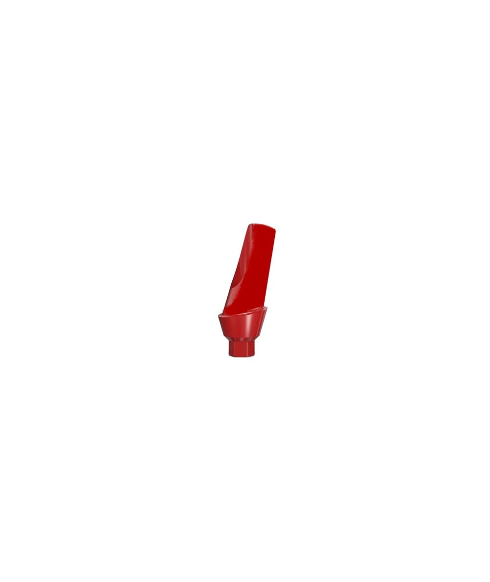 15° Plastic abutment (non rotational)