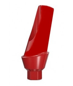 15° Plastic abutment (non rotational)