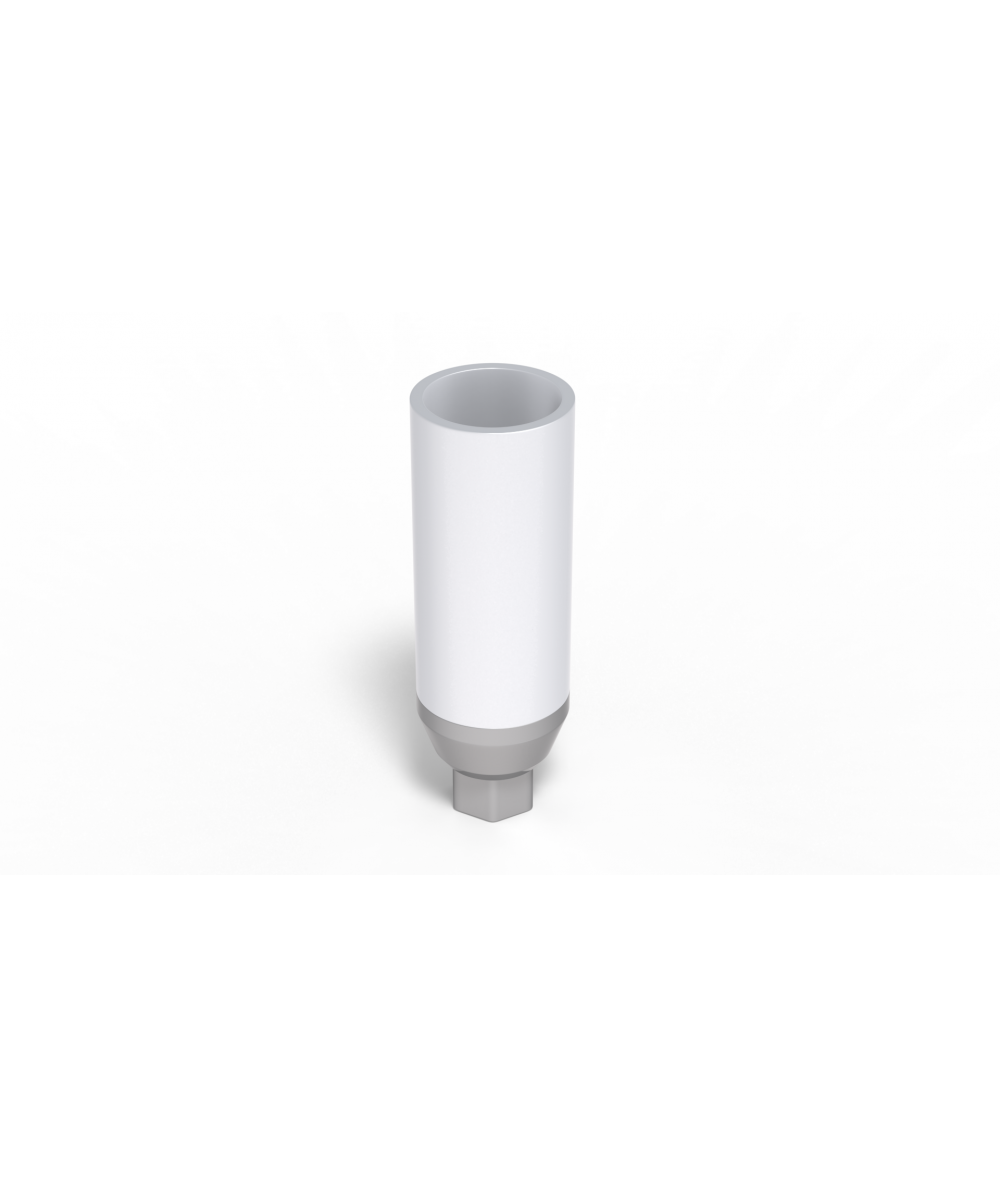 Plastic Abutment with titane ring