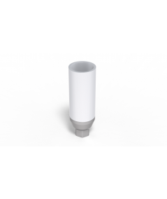 Plastic Abutment with titane ring