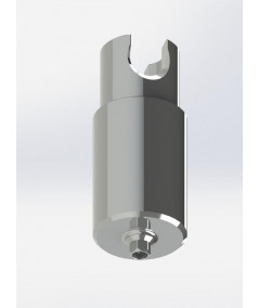 Pre-Milled Abutment Amann Girrbach™  platform Standard