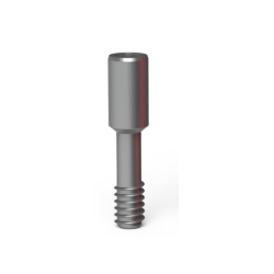 Plastic abutment (rotational)