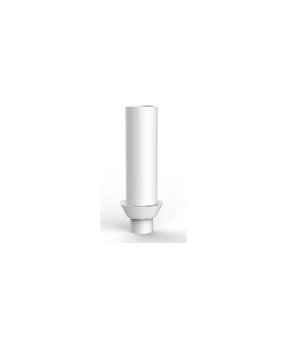 Plastic abutment (rotational)