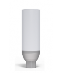 Plastic Abutment with titane ring