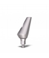 Conical Angled Abutment 25°