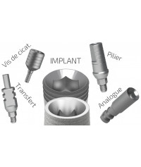 Pack ALL IN ( Implant + Abutment + Healing cap+ Analog +Transfer)