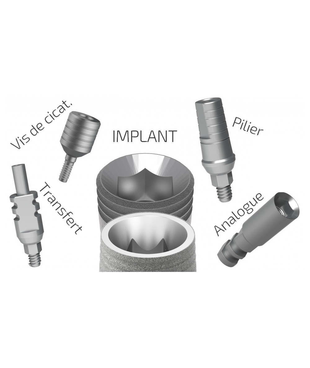 Pack ALL IN ( Implant + Abutment + Healing cap+ Analog +Transfer)