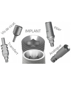 Pack ALL IN ( Implant + Abutment + Healing cap+ Analog +Transfer)