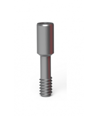 Prosthetic screw ( 10 screw)