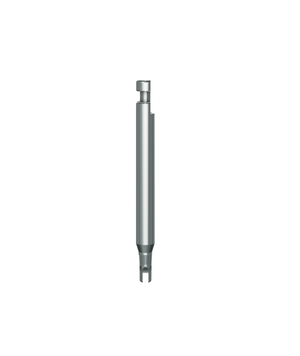 Implant Motor Mount Long